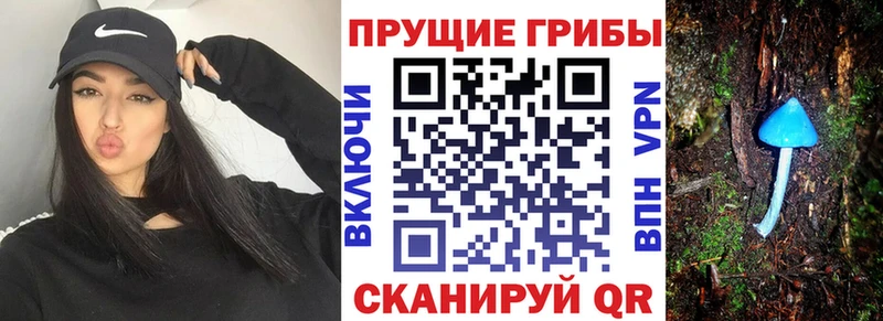 Псилоцибиновые грибы MAGIC MUSHROOMS  наркошоп  Вуктыл 